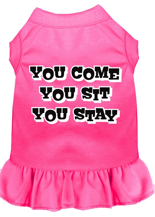 You Come, You Sit, You Stay Screen Print Dress Bright Pink Med